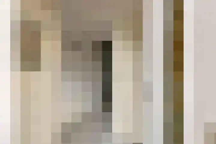 Nachtegaallaan 71 Tiel thumbnail 4