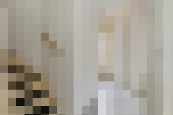Nachtegaallaan 71 Tiel thumbnail 5