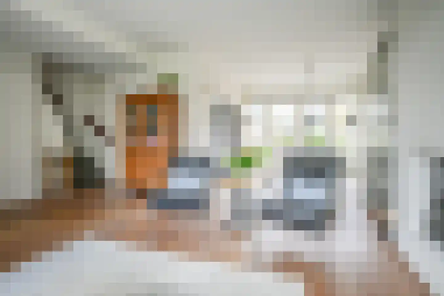Nachtegaallaan 78 Bleiswijk thumbnail 12