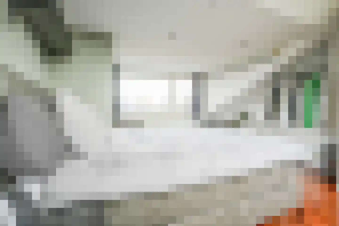 Nachtegaallaan 78 Bleiswijk thumbnail 39