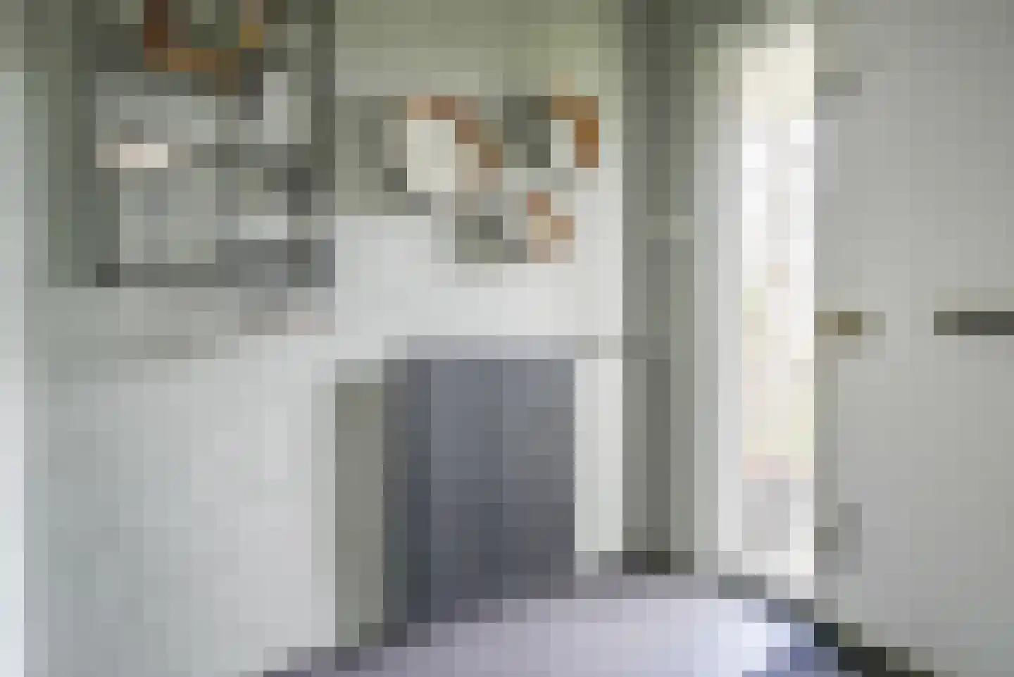 Nachtegaallaan 78 Bleiswijk thumbnail 7