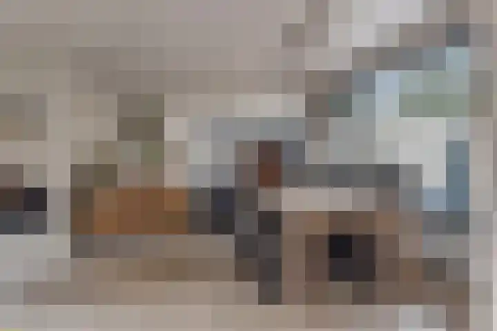 Nachtegaallaan 8 Bleiswijk thumbnail 12