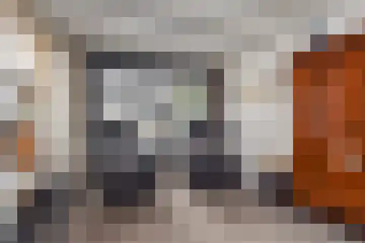 Nachtegaallaan 8 Bleiswijk thumbnail 15