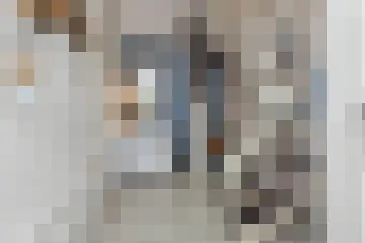 Nachtegaallaan 8 Bleiswijk thumbnail 31