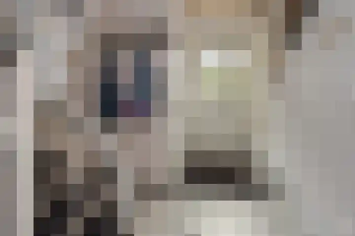Nachtegaallaan 8 Bleiswijk thumbnail 33