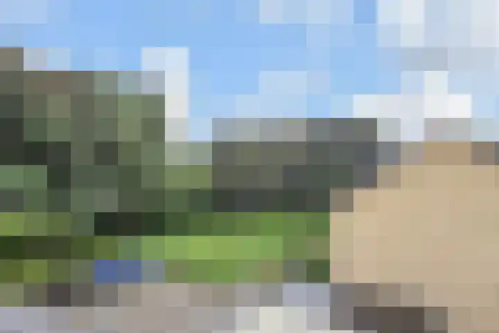 Nachtegaallaan 8 Bleiswijk thumbnail 43