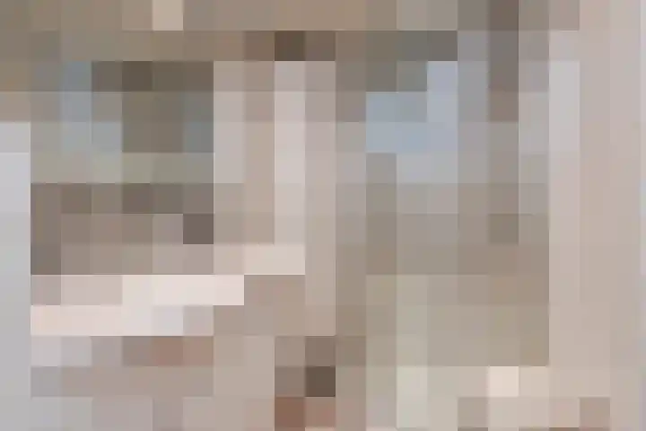 Nachtegaallaan 8 Bleiswijk thumbnail 45