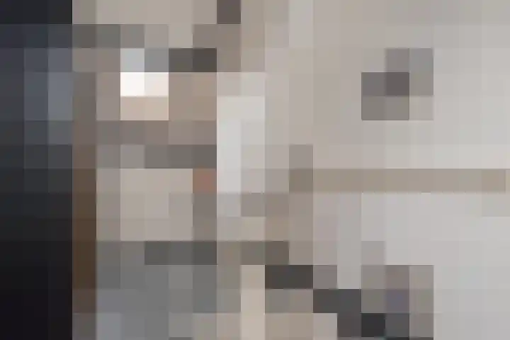 Nachtegaallaan 8 Bleiswijk thumbnail 47