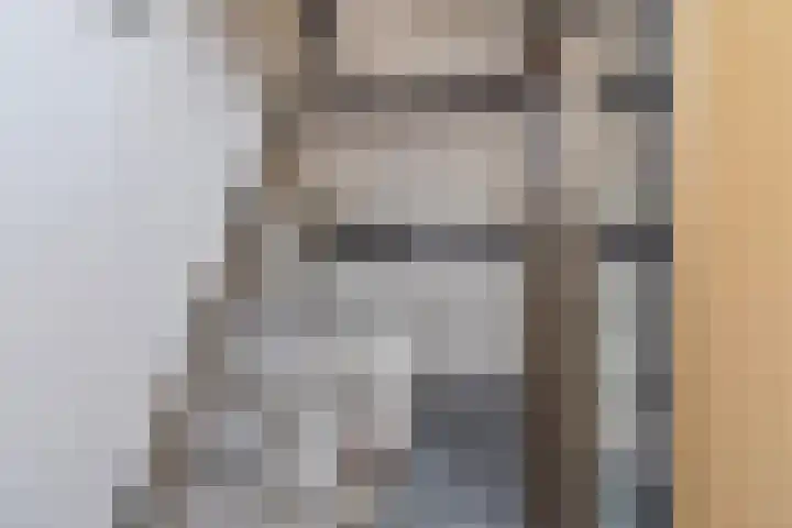 Nachtegaallaan 8 Bleiswijk thumbnail 48