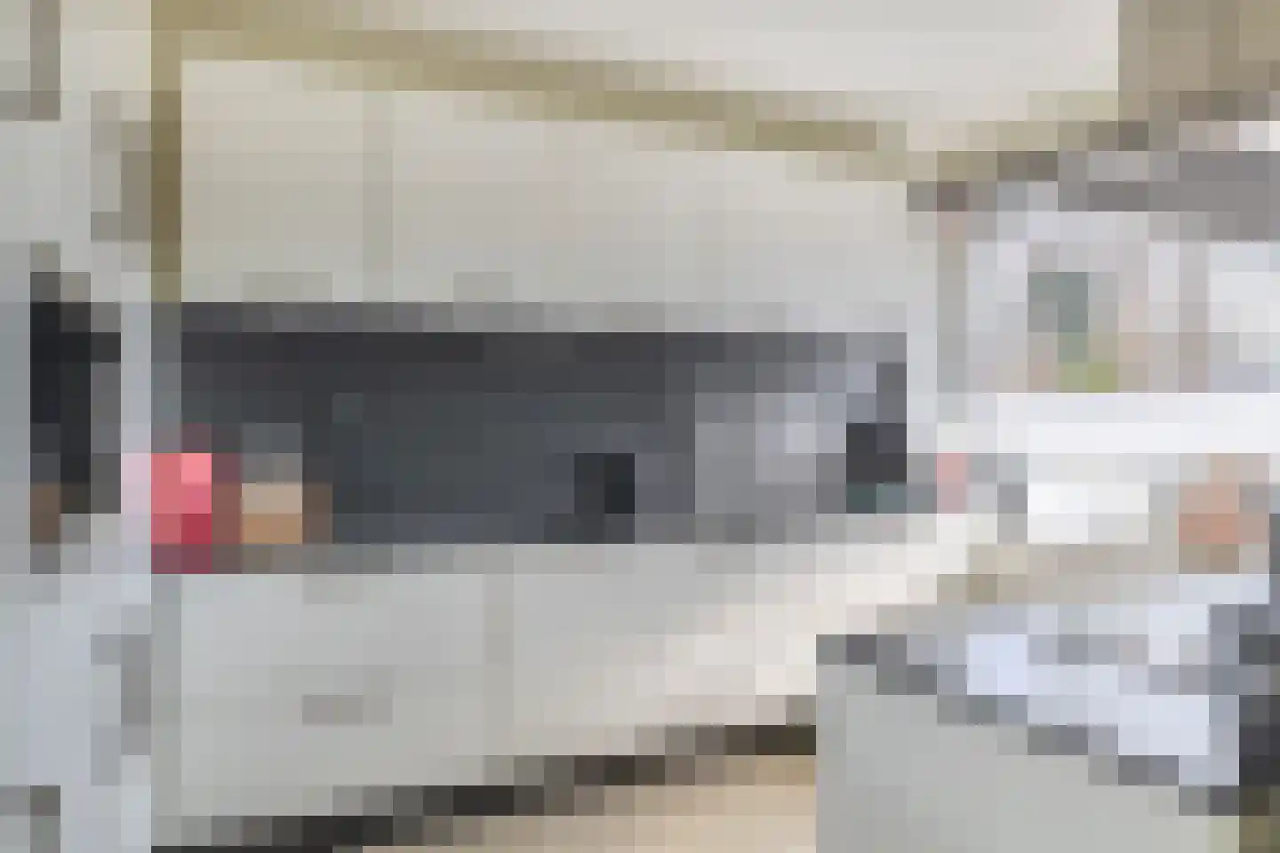 Nachtegaallaan 8 Rozenburg thumbnail 11