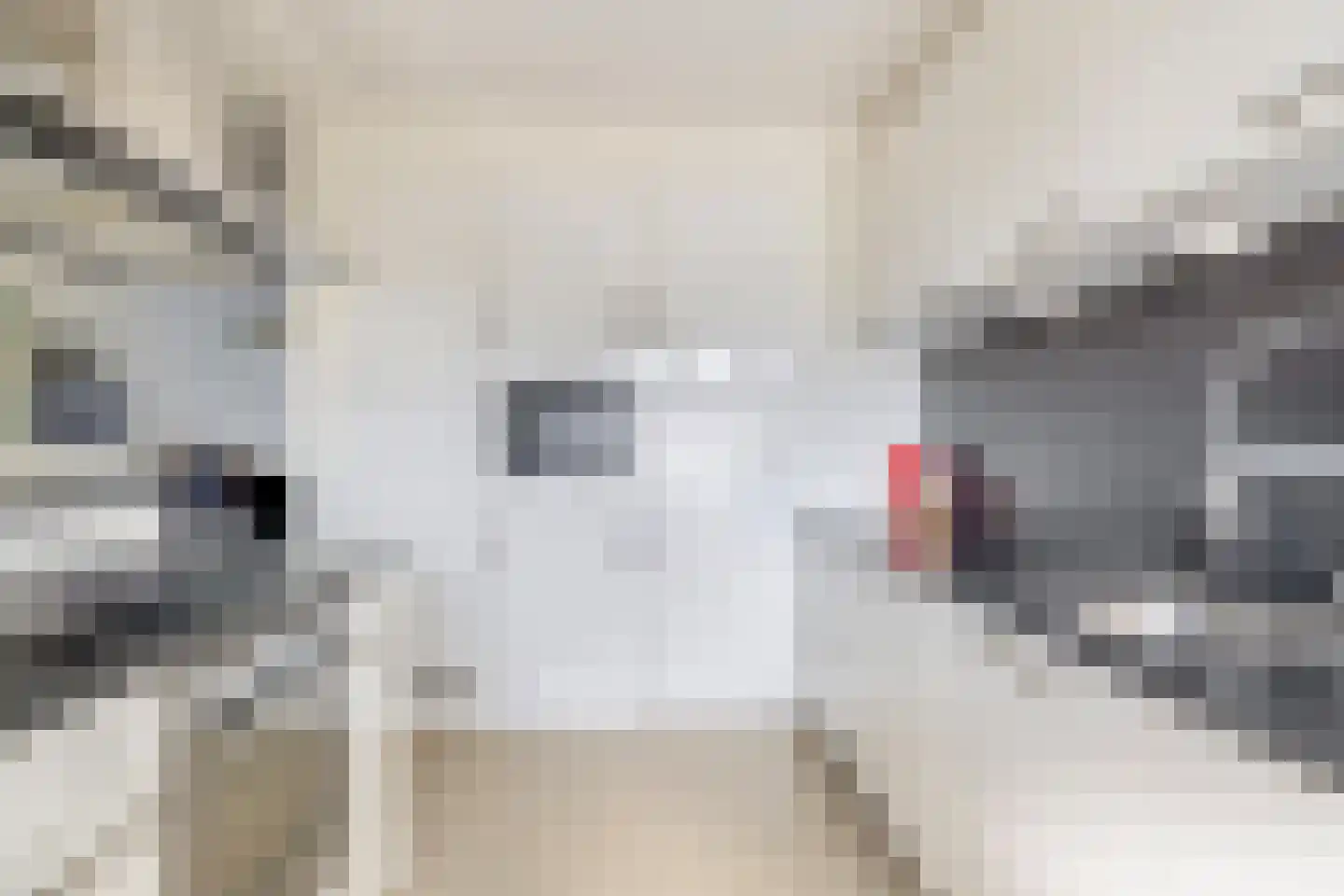Nachtegaallaan 8 Rozenburg thumbnail 12