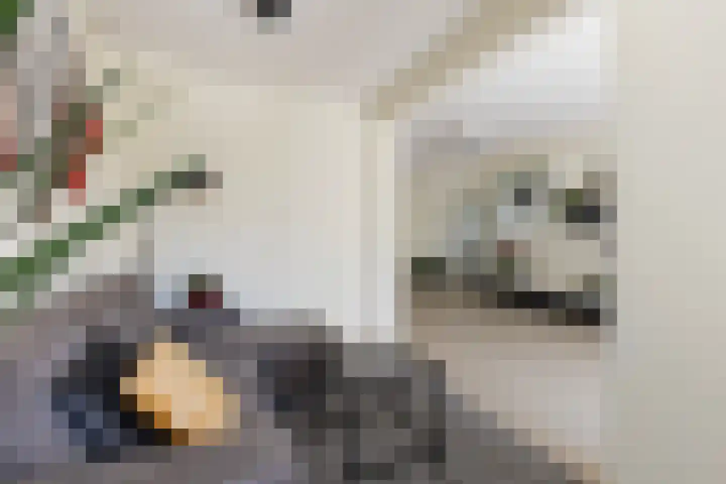 Nachtegaallaan 8 Rozenburg thumbnail 13