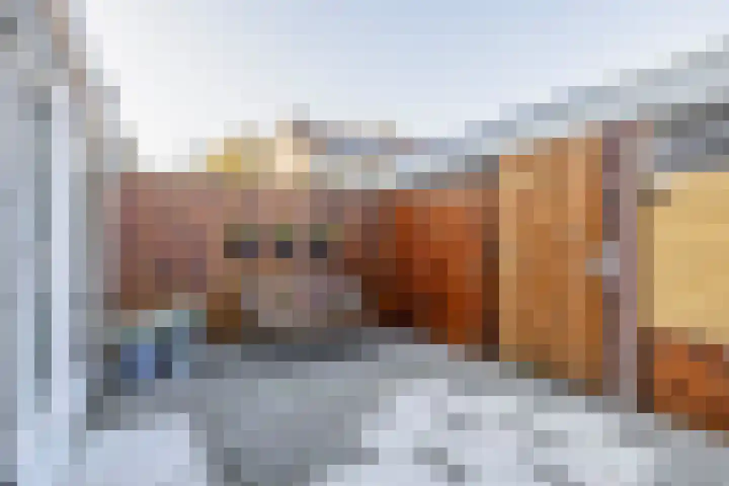 Nachtegaallaan 8 Rozenburg thumbnail 21