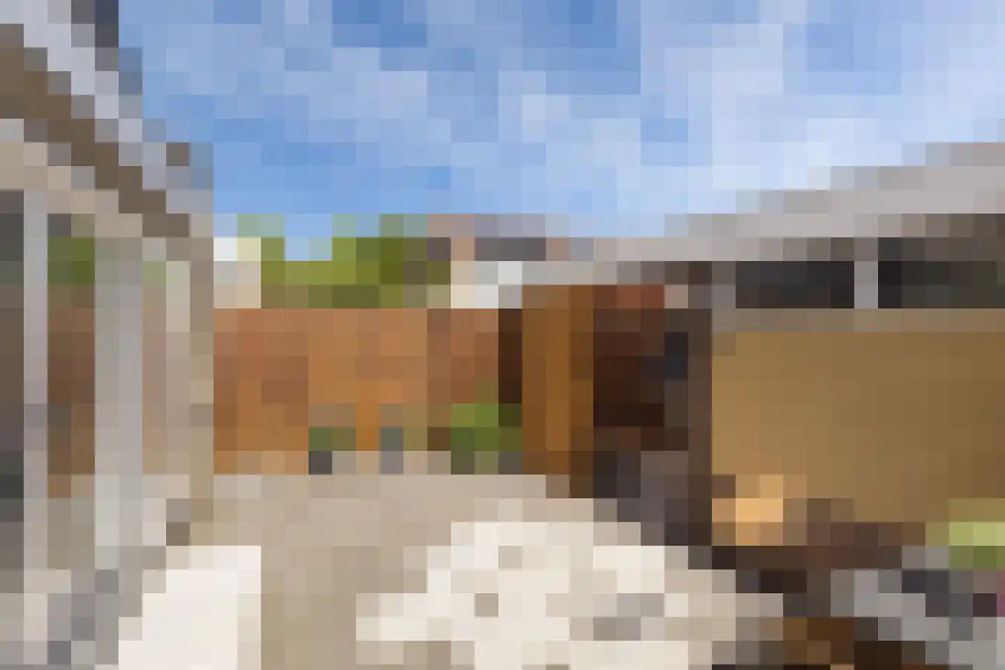 Nachtegaallaan 8 Rozenburg thumbnail 23