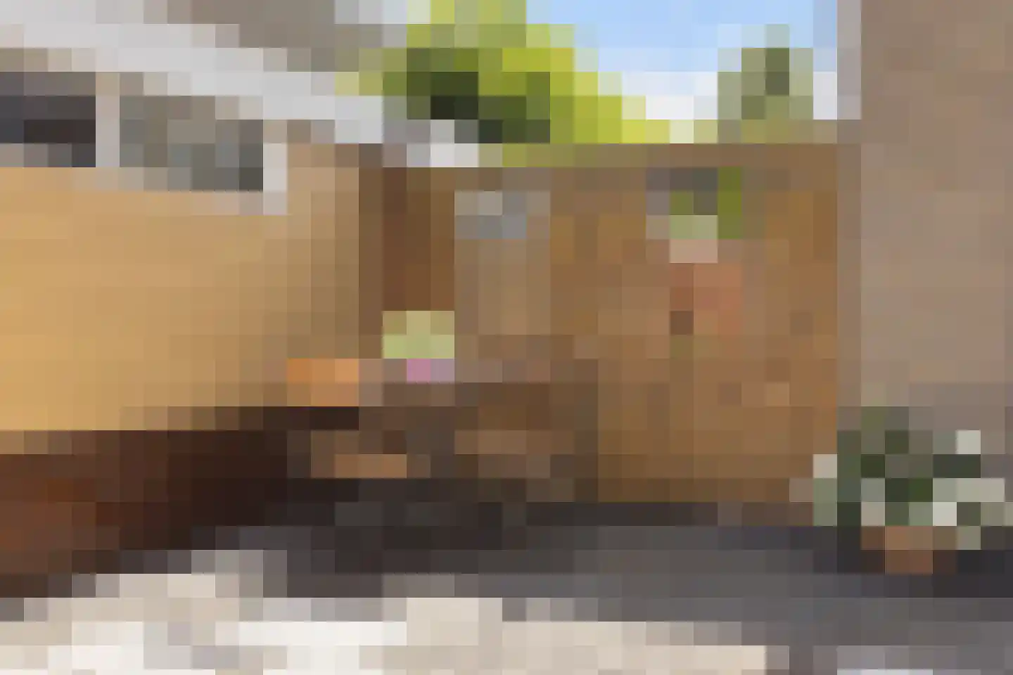 Nachtegaallaan 8 Rozenburg thumbnail 24