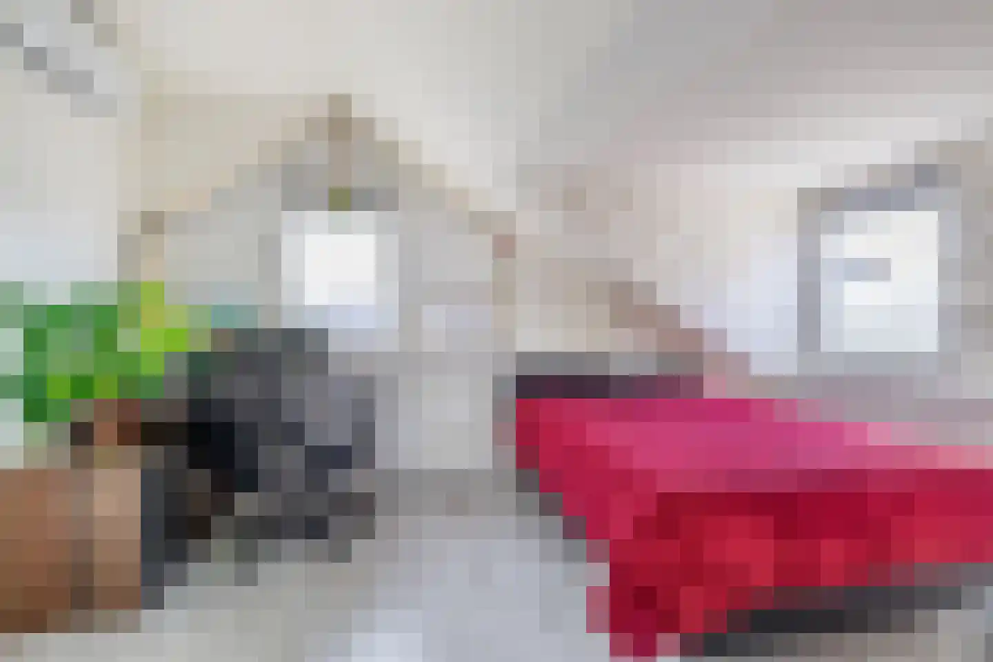 Nachtegaallaan 8 Rozenburg thumbnail 35