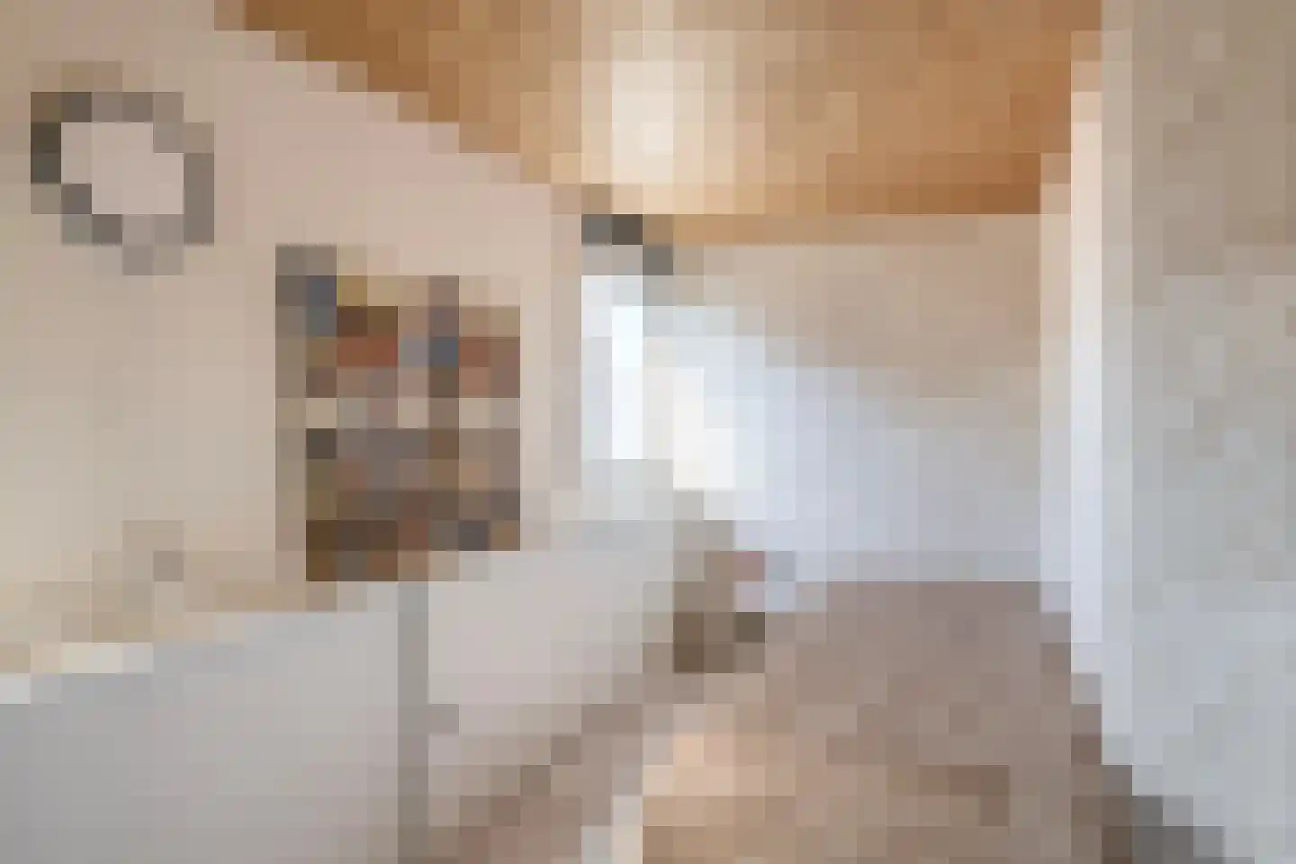 Nachtegaallaan 8 Rozenburg thumbnail 36