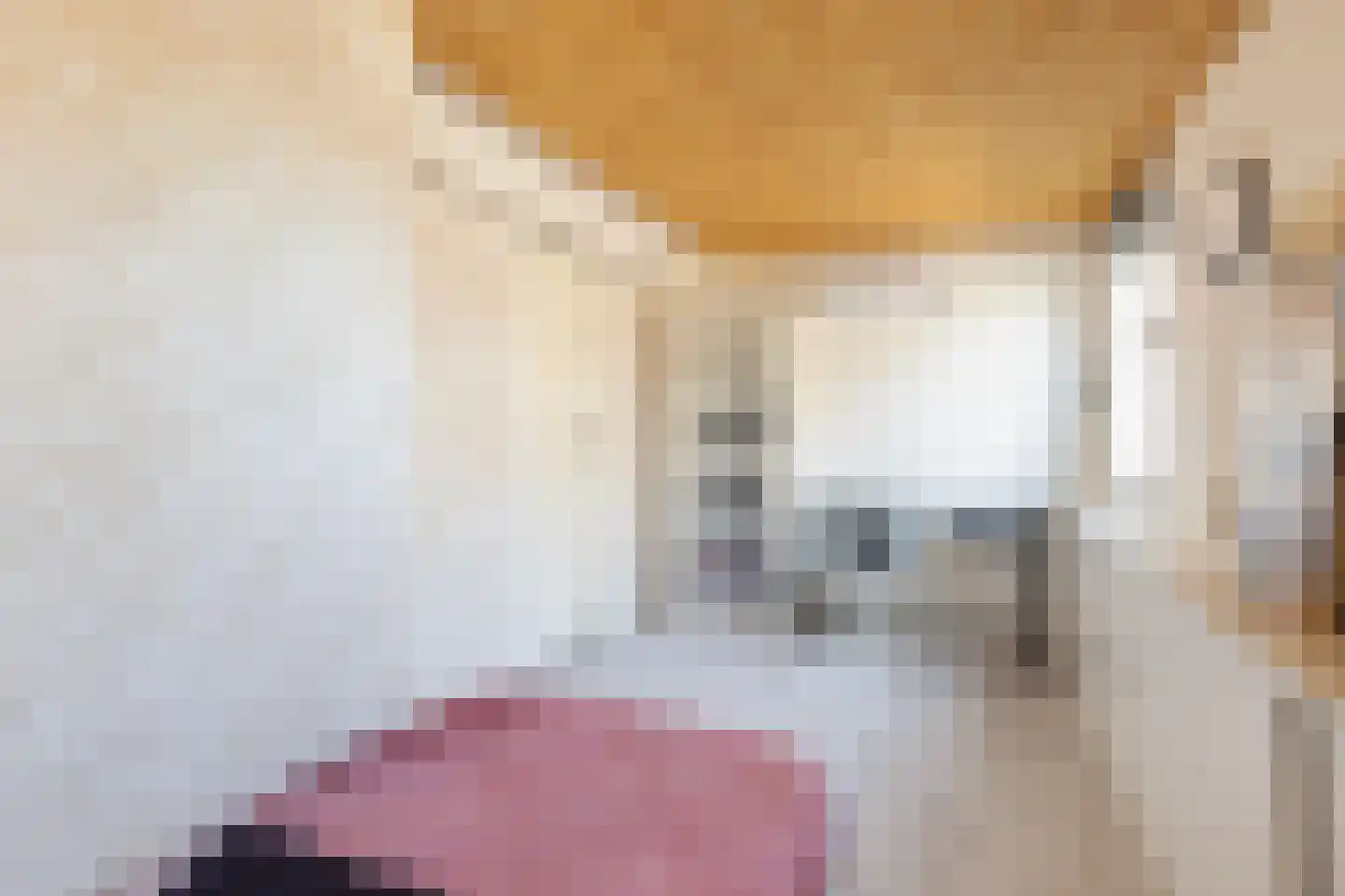 Nachtegaallaan 8 Rozenburg thumbnail 46