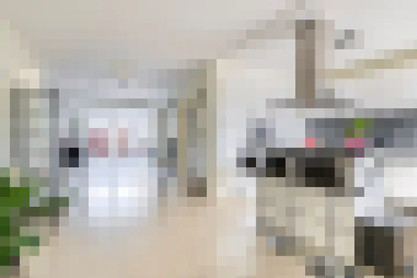 Nachtegaallaan 8 Rozenburg thumbnail 8