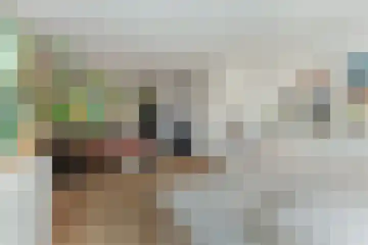 Nachtegaallaan 8 Vlaardingen thumbnail 12
