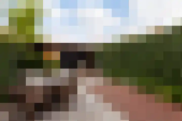 Nachtegaallaan 8 Vlaardingen thumbnail 22
