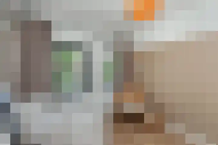 Nachtegaallaan 8 Vlaardingen thumbnail 31