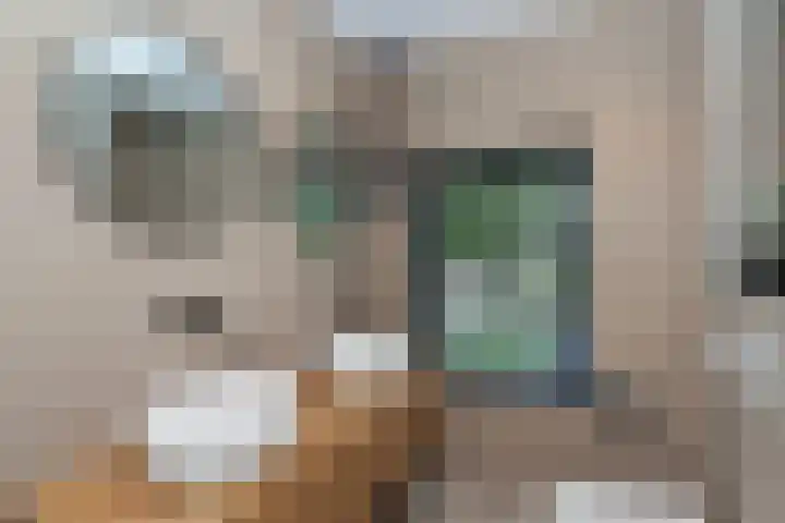 Nachtegaallaan 8 Vlaardingen thumbnail 33
