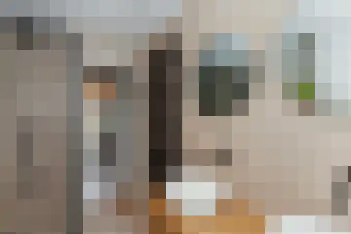 Nachtegaallaan 8 Vlaardingen thumbnail 34