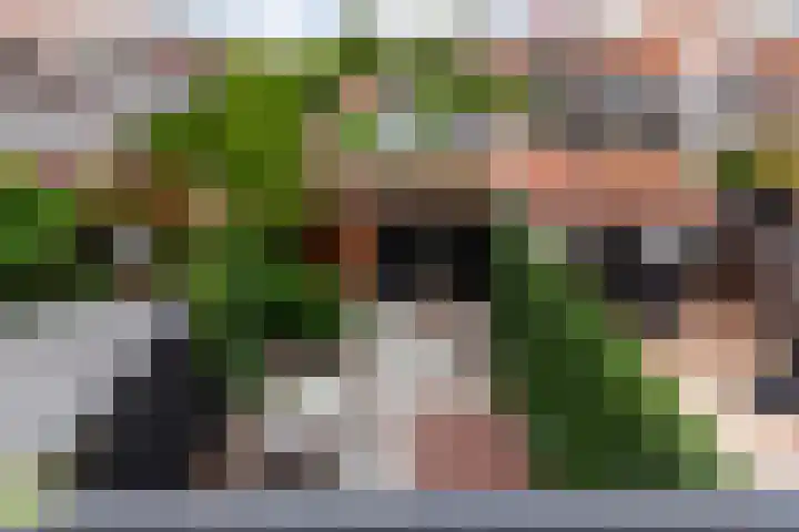 Nachtegaallaan 8 Vlaardingen thumbnail 37