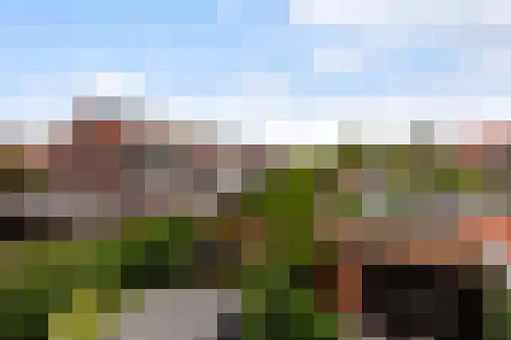 Nachtegaallaan 8 Vlaardingen thumbnail 38