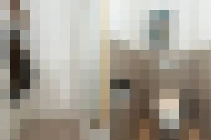 Nachtegaallaan 8 Vlaardingen thumbnail 8