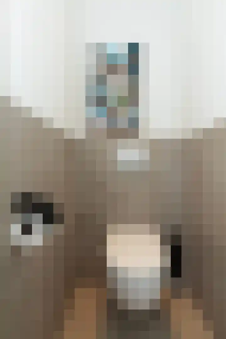 Nachtegaallaan 8 Vlaardingen thumbnail 9