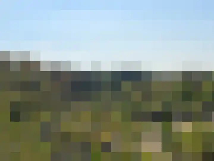 Nachtegaallaan 81 Katwijk thumbnail 23