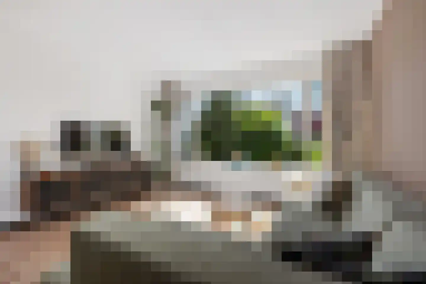 Nachtegaallaan 88 Bleiswijk thumbnail 11