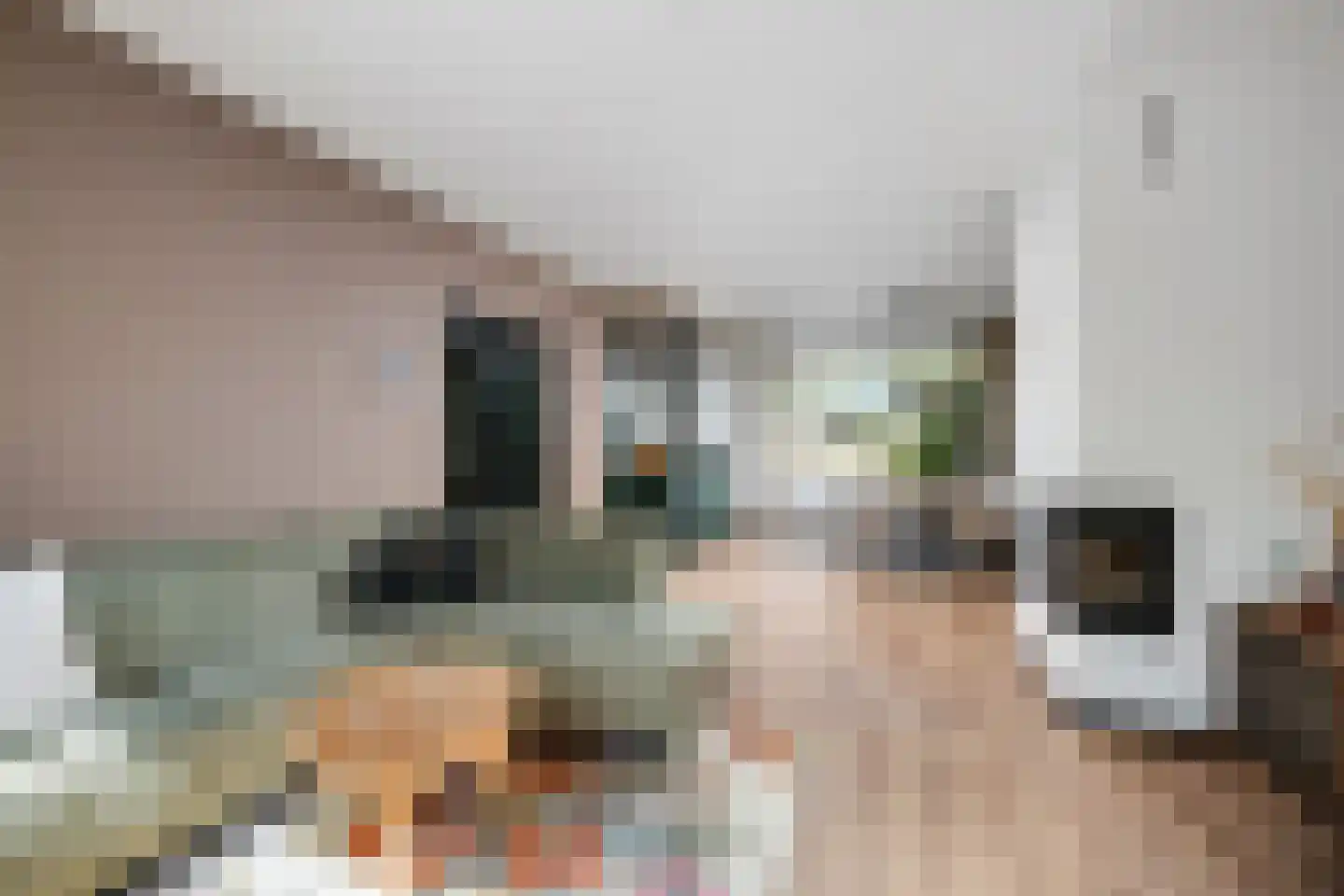Nachtegaallaan 88 Bleiswijk thumbnail 12