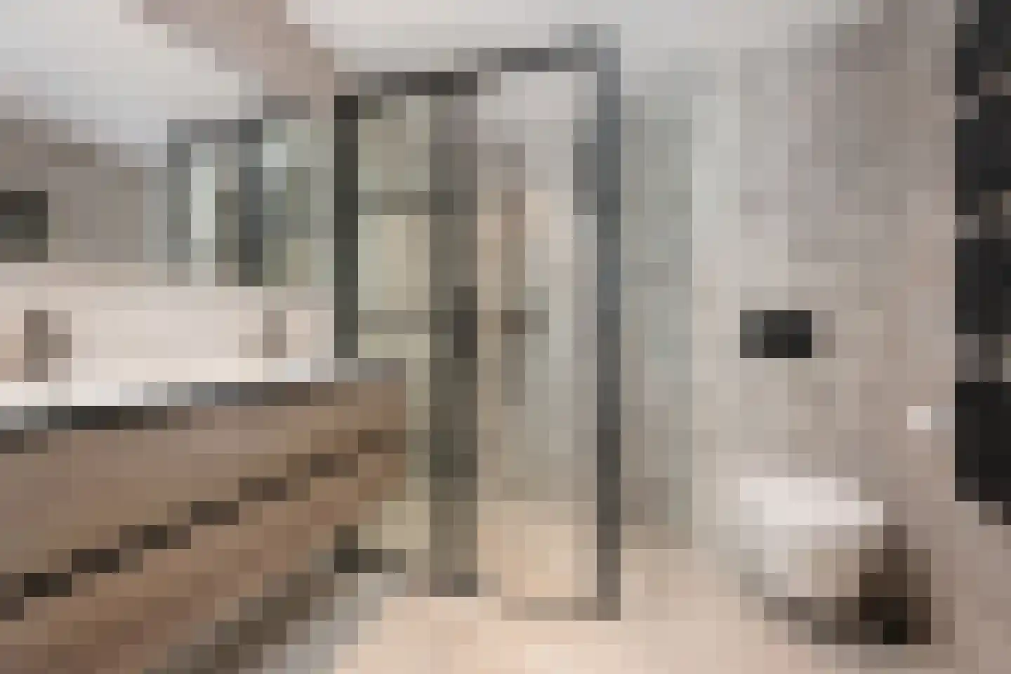 Nachtegaallaan 88 Bleiswijk thumbnail 33
