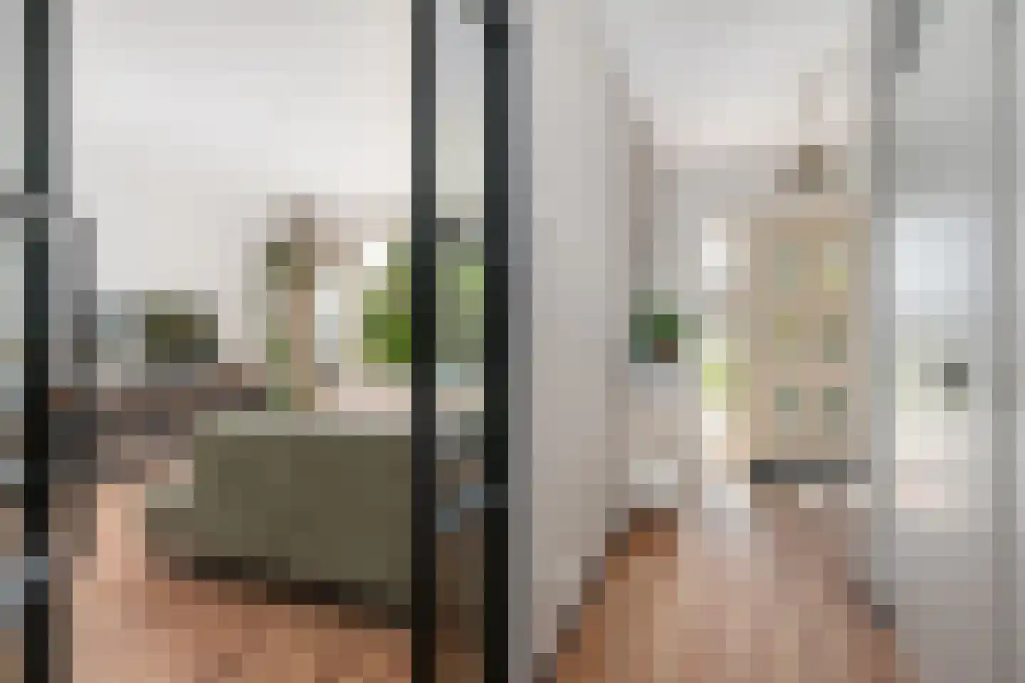 Nachtegaallaan 88 Bleiswijk thumbnail 7