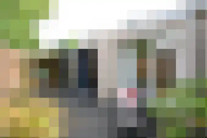 Nachtegaallaan 9 Baarn thumbnail 24