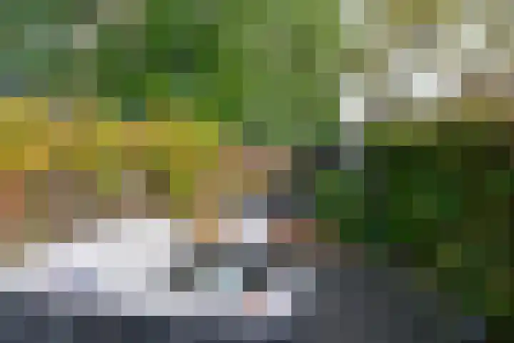 Nachtegaallaan 9 Baarn thumbnail 25