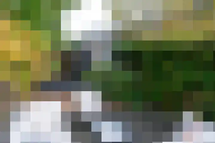 Nachtegaallaan 9 Baarn thumbnail 26