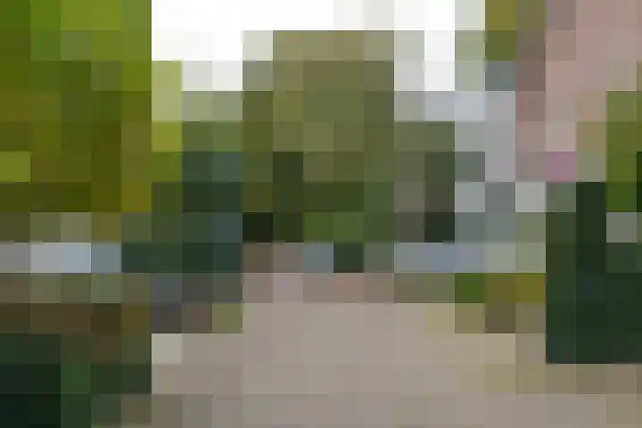 Nachtegaallaan 9 Baarn thumbnail 27