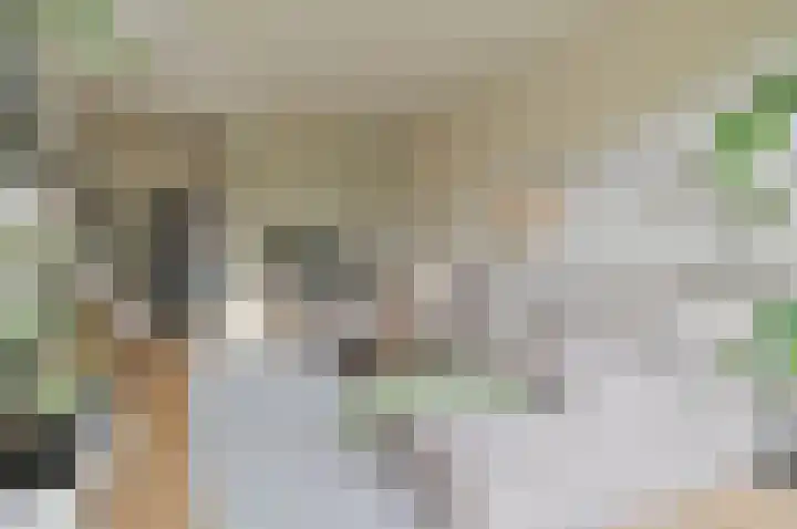 Nachtegaallaan 9 Baarn thumbnail 4