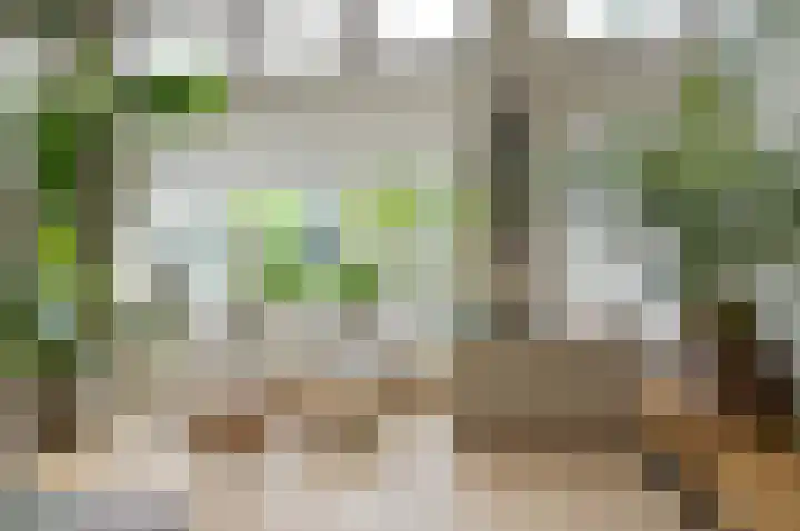 Nachtegaallaan 9 Baarn thumbnail 5