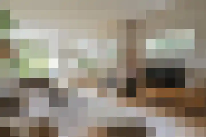 Nachtegaallaan 9 Baarn thumbnail 6