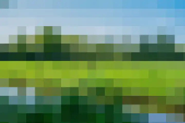 Nachtegaallaan 9 Leiden thumbnail 10