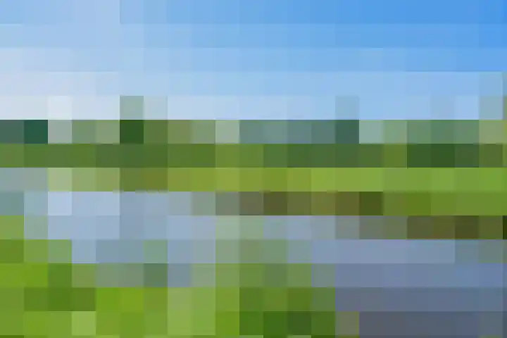 Nachtegaallaan 9 Leiden thumbnail 11