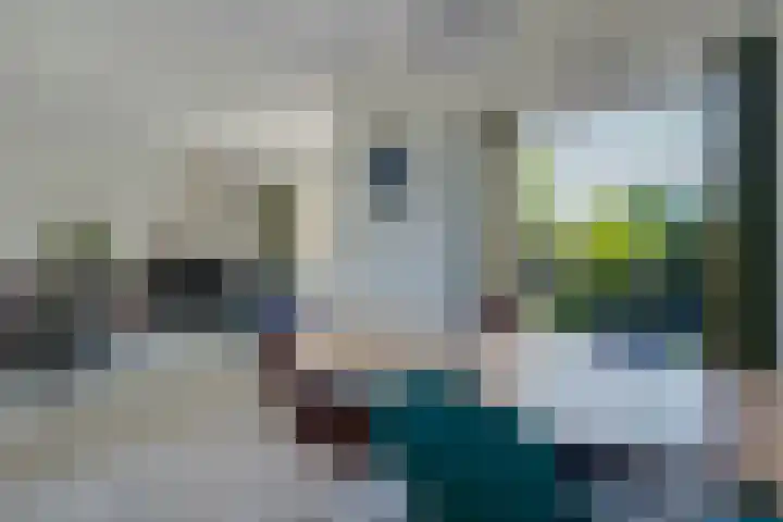 Nachtegaallaan 9 Leiden thumbnail 22