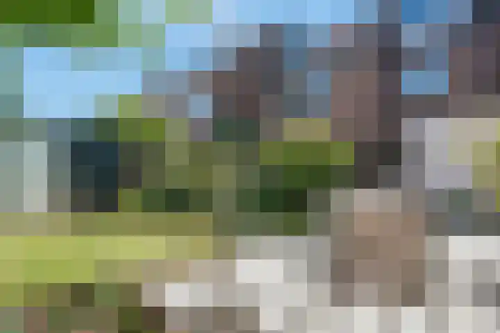Nachtegaallaan 9 Leiden thumbnail 28