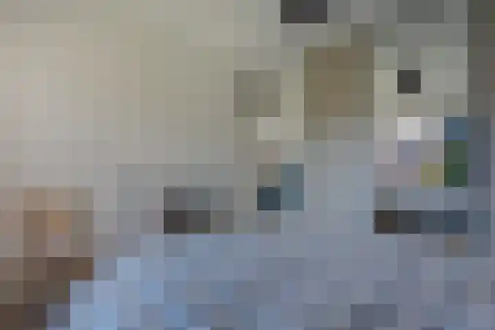 Nachtegaallaan 9 Leiden thumbnail 33