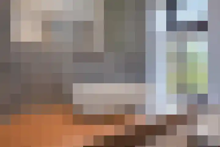 Nachtegaallaan 9 Leiden thumbnail 38